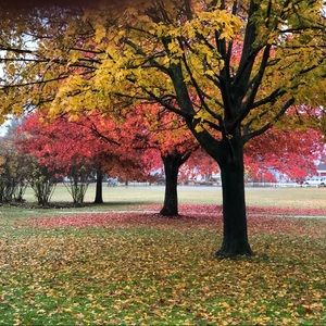 Meet your Posher, Donald